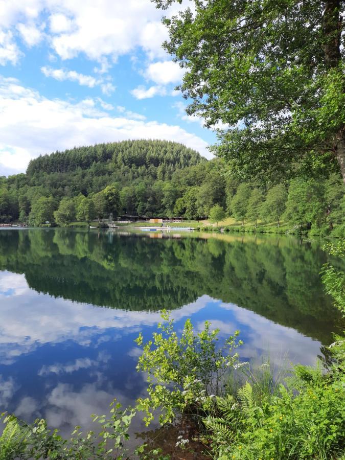Ferien Am Maar Apartman Daun Kültér fotó